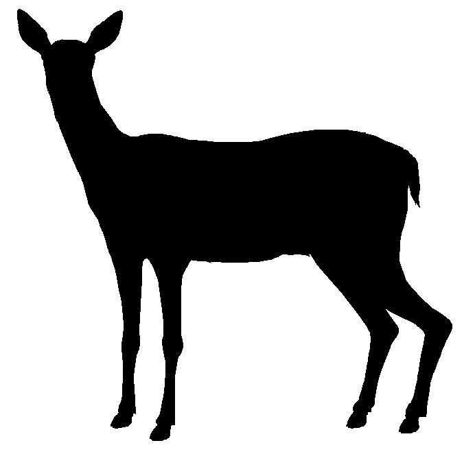 Deer2.jpg